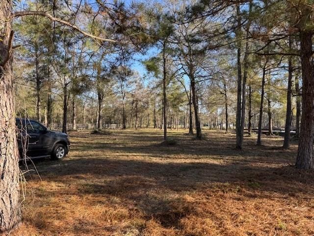 21240 Grant Lake Cir, Cleveland, TX 77328 - photo 10