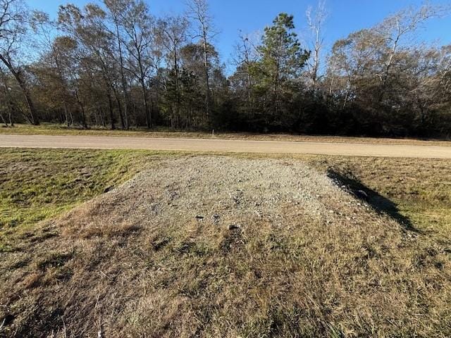 21240 Grant Lake Cir, Cleveland, TX 77328 - photo 11