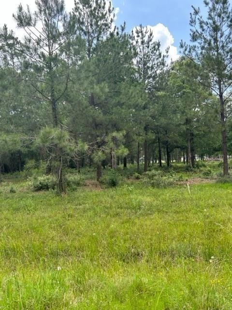 21240 Grant Lake Cir, Cleveland, TX 77328 - photo 13