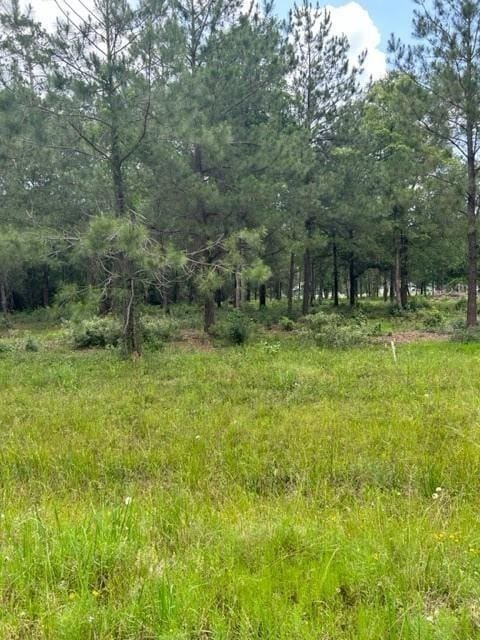 21240 Grant Lake Cir, Cleveland, TX 77328 - photo 14
