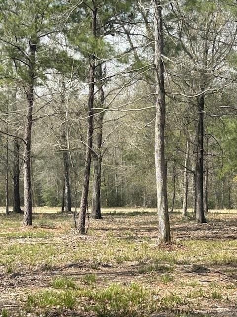 21240 Grant Lake Cir, Cleveland, TX 77328 - photo 15