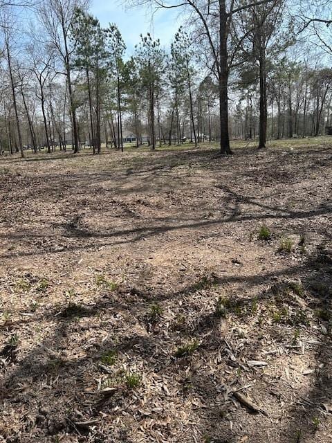 21240 Grant Lake Cir, Cleveland, TX 77328 - photo 16