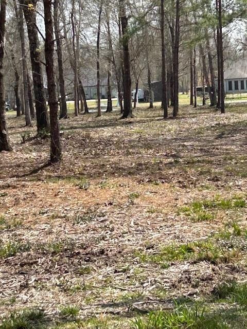 21240 Grant Lake Cir, Cleveland, TX 77328 - photo 17