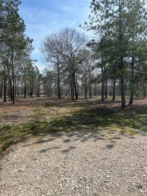 21240 Grant Lake Cir, Cleveland, TX 77328 - photo 18