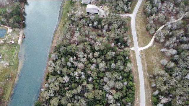 21240 Grant Lake Cir, Cleveland, TX 77328 - photo 3