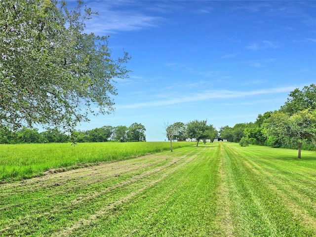 4542 S Main St, Anahuac, TX 77514 - photo 8