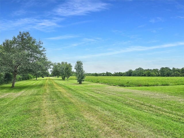 4542 S Main St, Anahuac, TX 77514 - photo 43