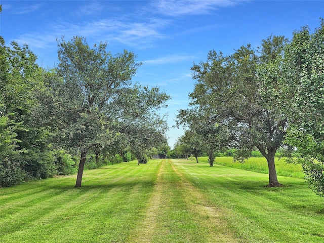 4542 S Main St, Anahuac, TX 77514 - photo 44
