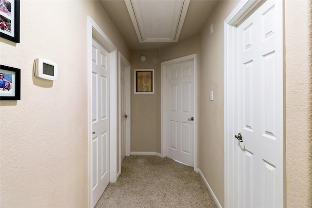 25307 Hall Meadow Ln, Katy, TX 77494 - photo 20