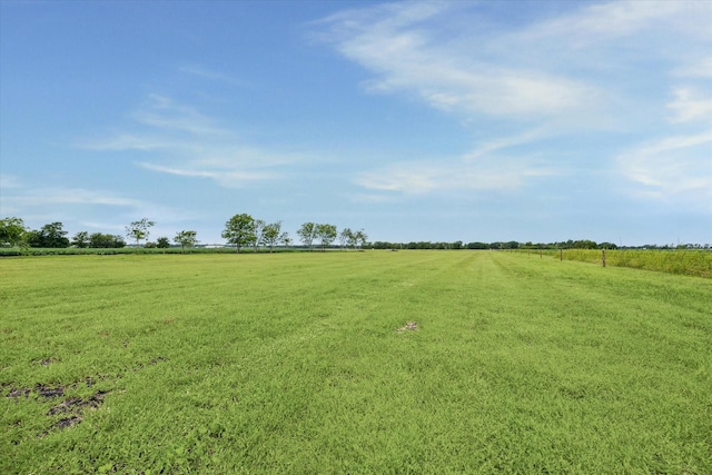 TBD Fm 1952 Road, Wallis, TX 77485 - photo 4