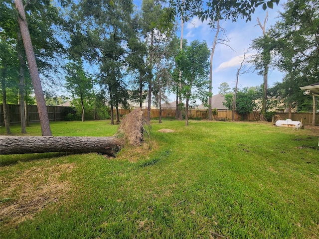 17910 Alee Ct, Crosby, TX 77532 - photo 18