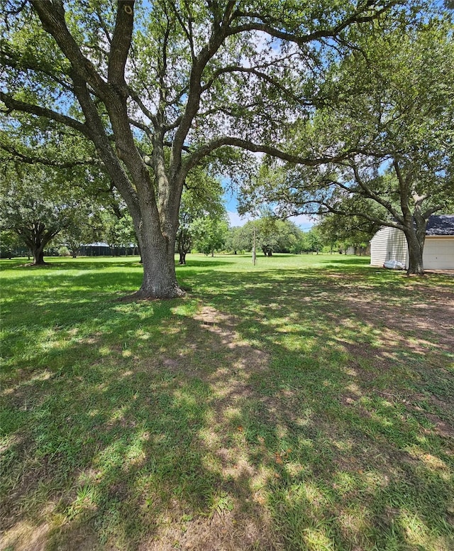 19407 Pine Tree Ln, Waller, TX 77484 - photo 2