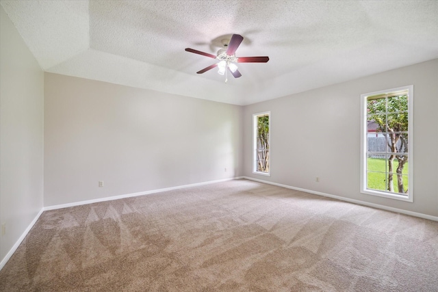 3411 Plum Brook Ln, Missouri City, TX 77459 - photo 14