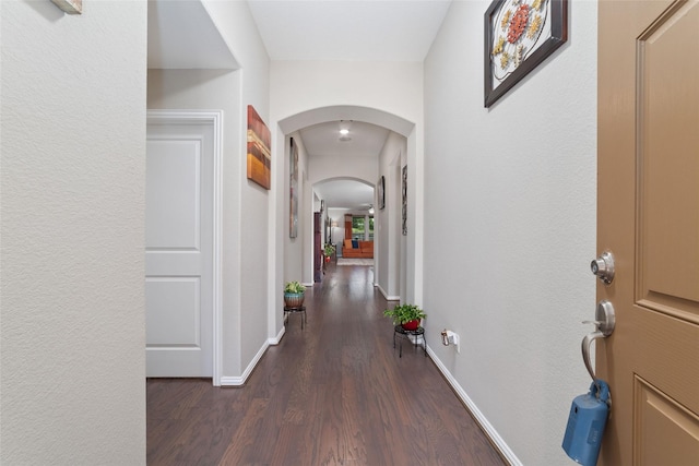 2337 Olive Forest Ln, Manvel, TX 77578 - photo 3