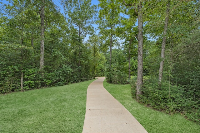 444 Flowering Lotus Ct, Conroe, TX 77318 - photo 35