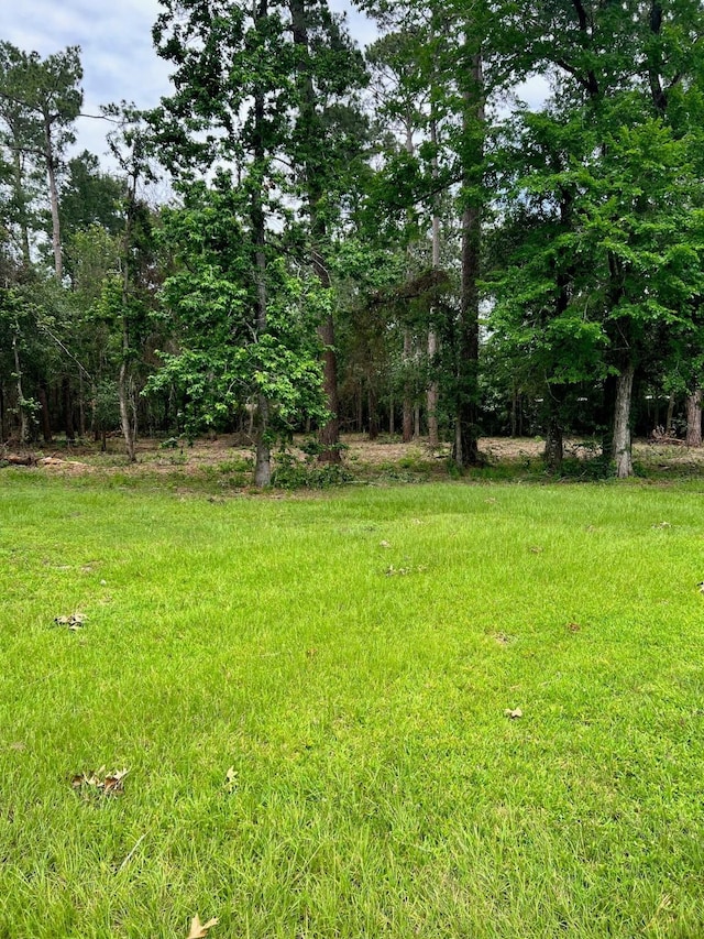 TBD Oak Wood St, Pinehurst, TX 77362 - photo 4