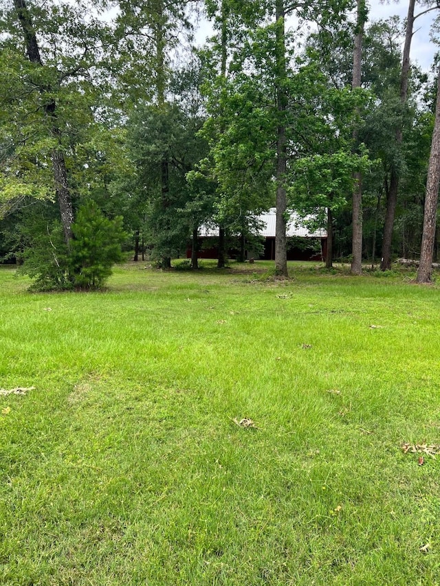 TBD Oak Wood St, Pinehurst, TX 77362 - photo 5