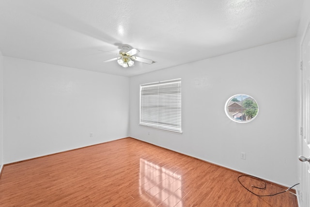 13911 Fraser Lake Ln, Houston, TX 77083 - photo 23