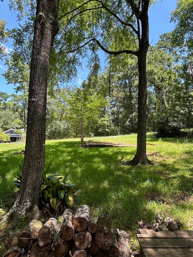 141 Wild Rose, Livingston, TX 77351 - photo 2