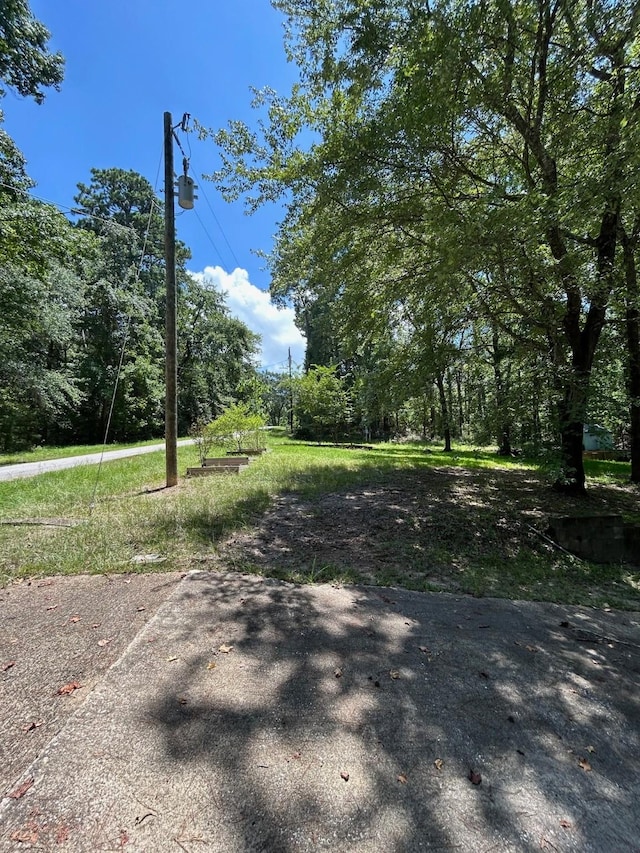 141 Wild Rose, Livingston, TX 77351 - photo 6