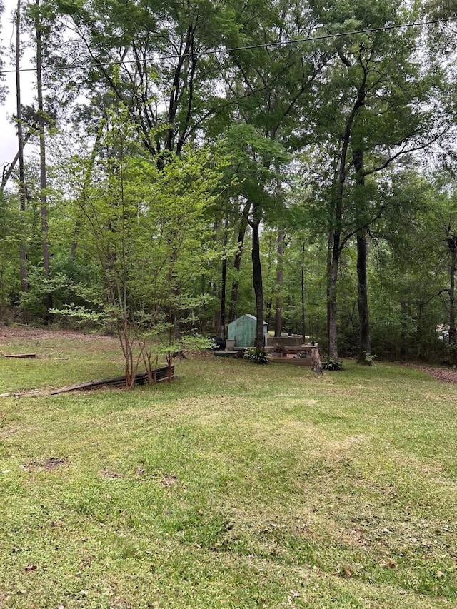 141 Wild Rose, Livingston, TX 77351 - photo 7