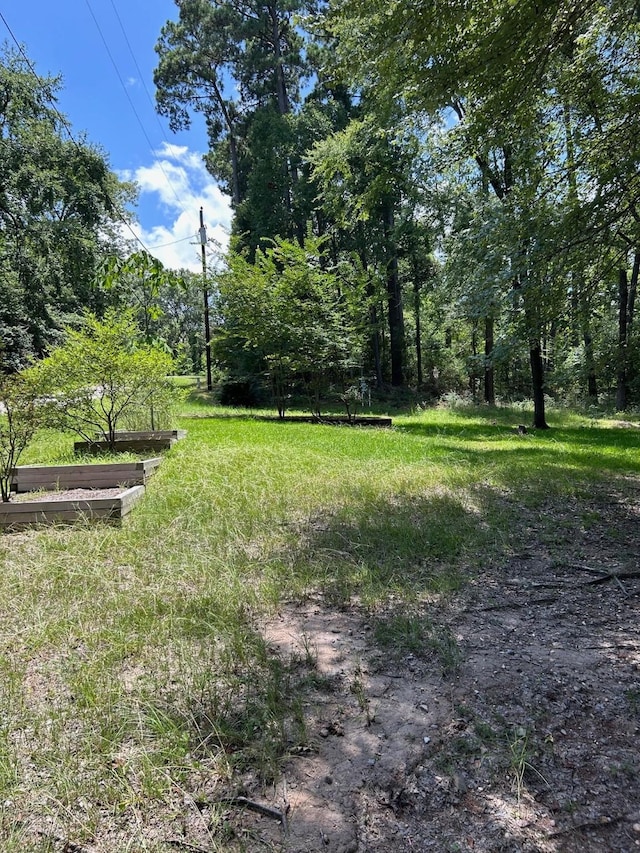 141 Wild Rose, Livingston, TX 77351 - photo 10