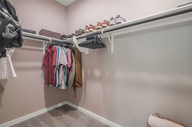 14424 Tunnel Tree Ct, Conroe, TX 77384 - photo 26
