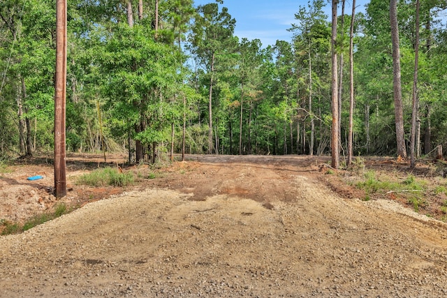 TBD Sugar Hill Rd, Livingston, TX 77351 - photo 3