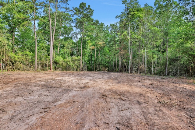 TBD Sugar Hill Rd, Livingston, TX 77351 - photo 4