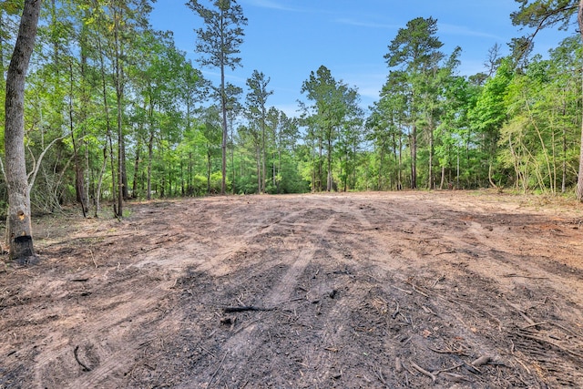 TBD Sugar Hill Rd, Livingston, TX 77351 - photo 5