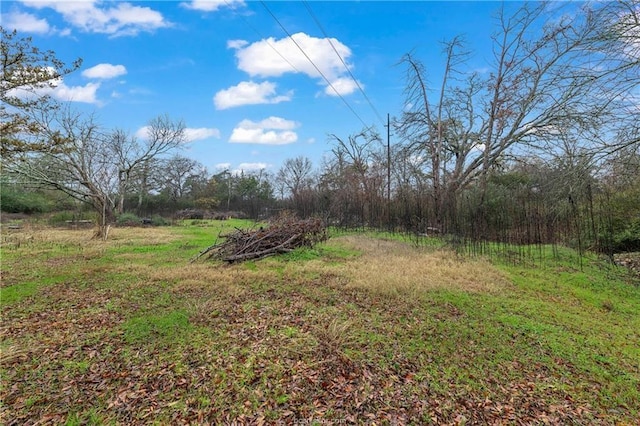 2406 W 28th St, Bryan, TX 77803 - photo 3