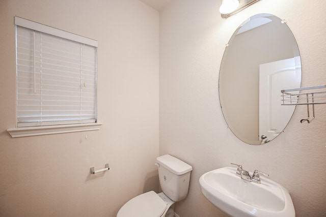 23919 Villa Lisa Dr, Richmond, TX 77406 - photo 29