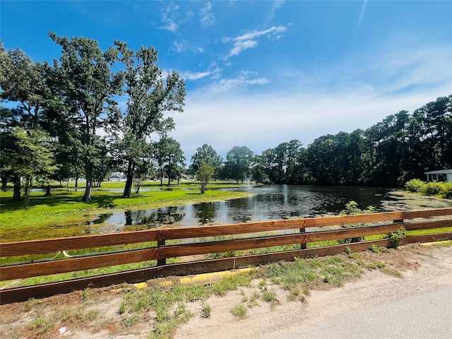761 Plum Tree, Livingston, TX 77351 - photo 33