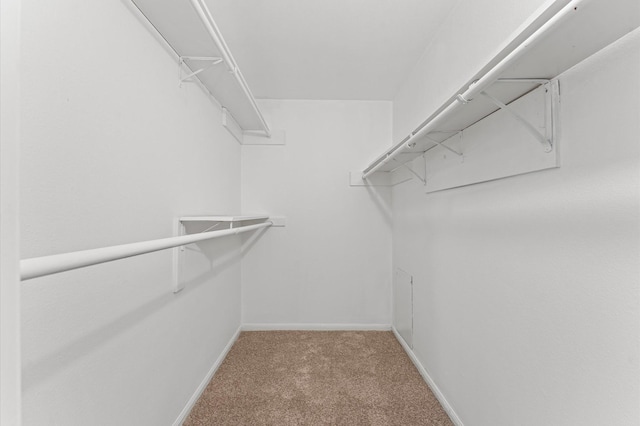6591 Bayou Glen Rd, Houston, TX 77057 - photo 12