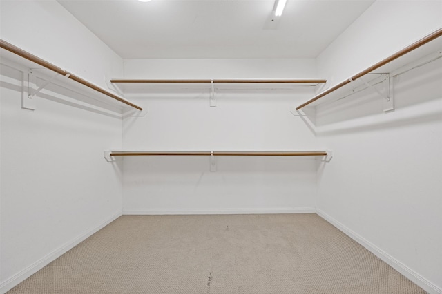 1515 Oakdale St Unit 7, Houston, TX 77004 - photo 26