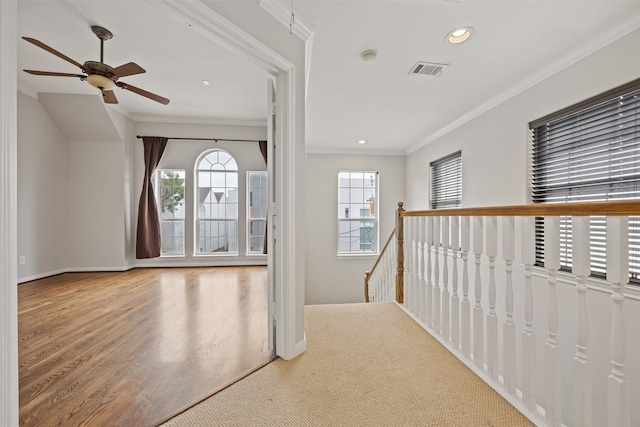 1515 Oakdale St Unit 7, Houston, TX 77004 - photo 29