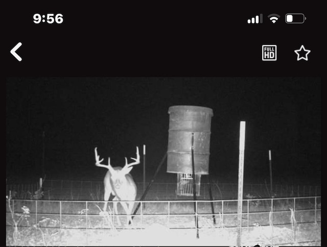 0000 N Mcgee Bend Loop, Groveton, TX 75845 - photo 4