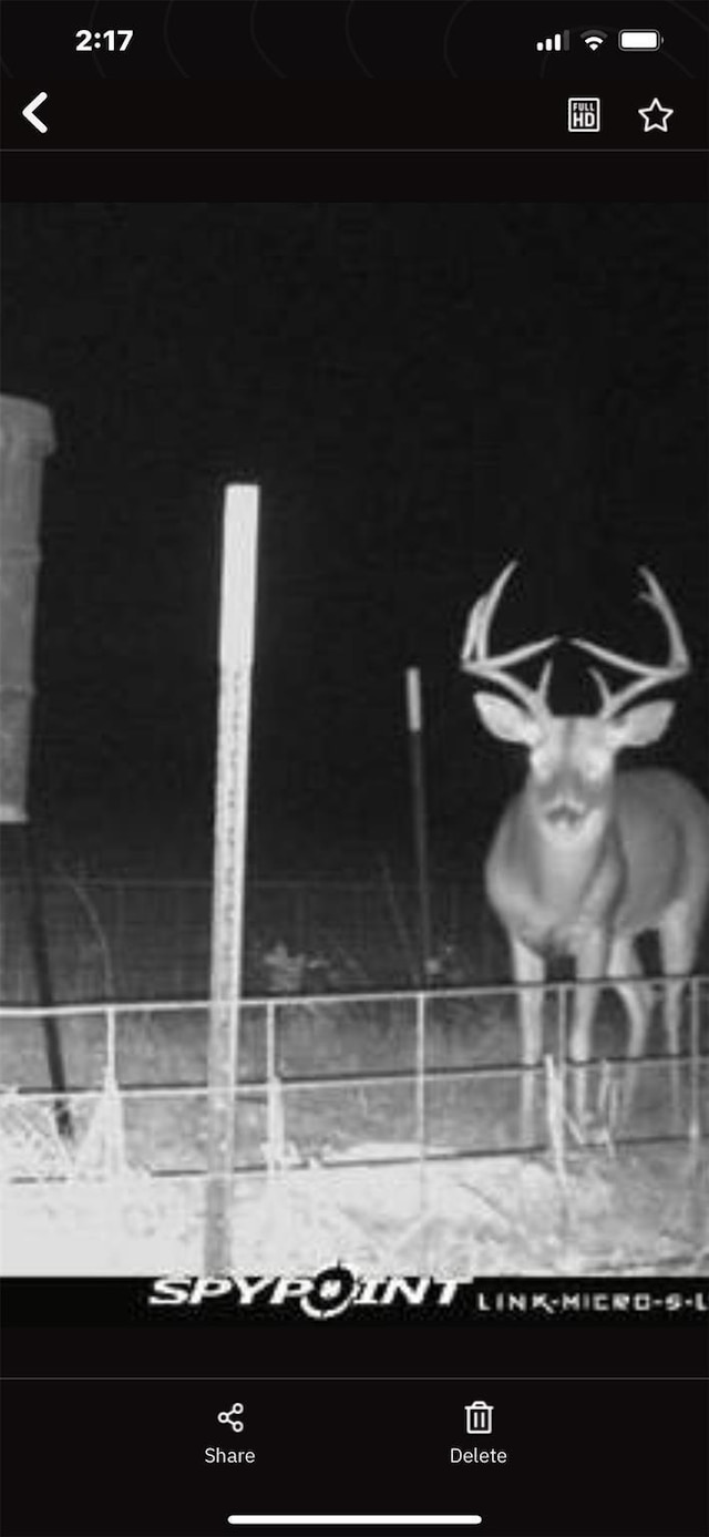 0000 N Mcgee Bend Loop, Groveton, TX 75845 - photo 5