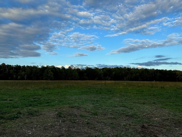 0000 N Mcgee Bend Loop, Groveton, TX 75845 - photo 6