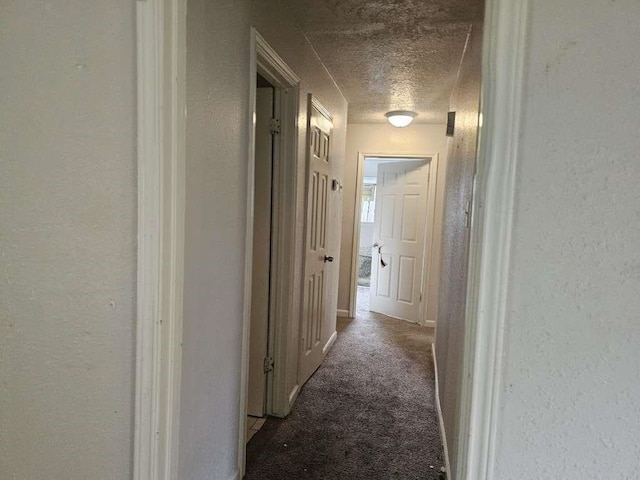 8710 Parkway Forest Dr, Houston, TX 77044 - photo 3