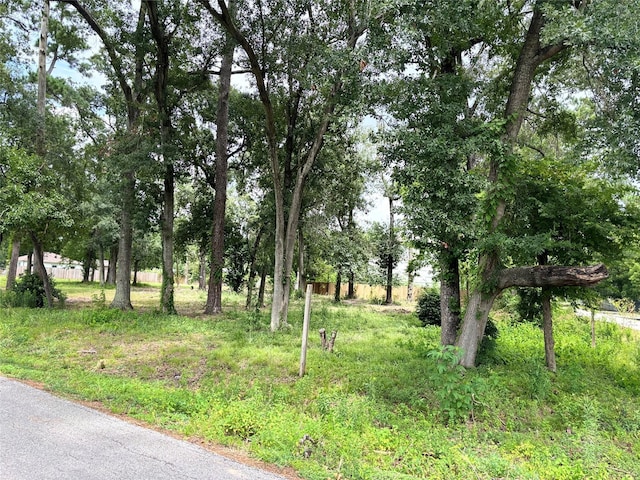 10406 Belridge St, Houston, TX 77016 - photo 2