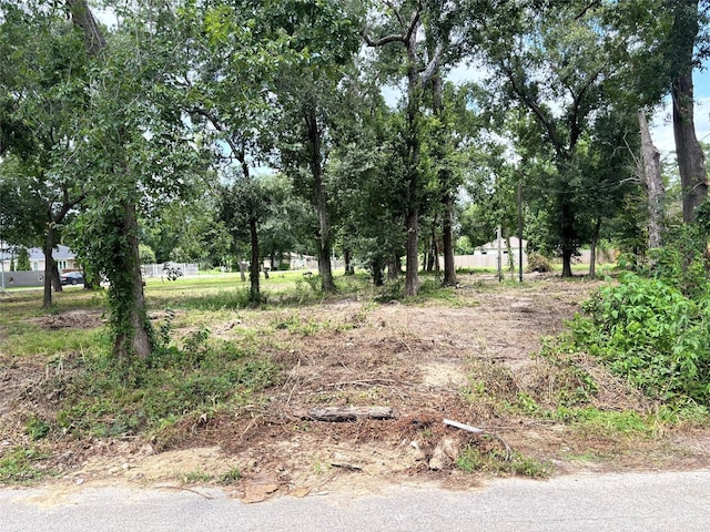 10406 Belridge St, Houston, TX 77016 - photo 1
