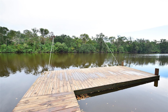 1617 County Road 244a, Brazoria, TX 77422 - photo 41