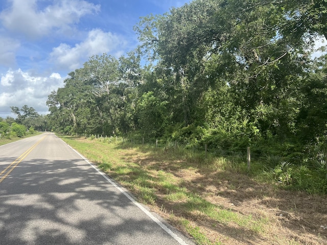 0 County Road 353, Brazoria, TX 77422 - photo 1