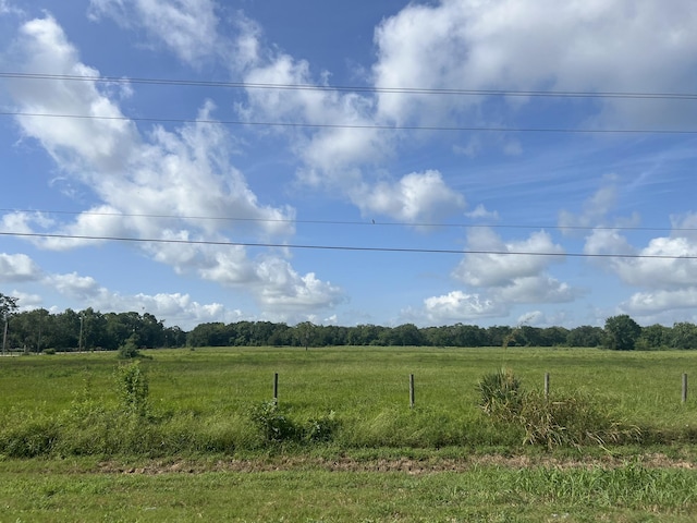 0 County Road 353, Brazoria, TX 77422 - photo 3