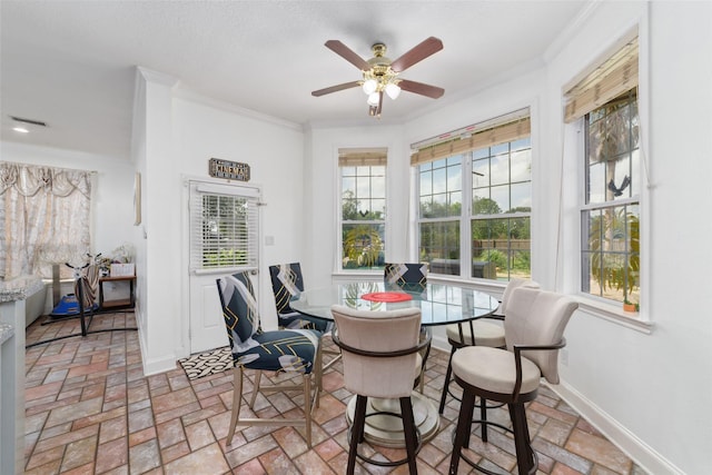 1513 County Road 149, Alvin, TX 77511 - photo 19