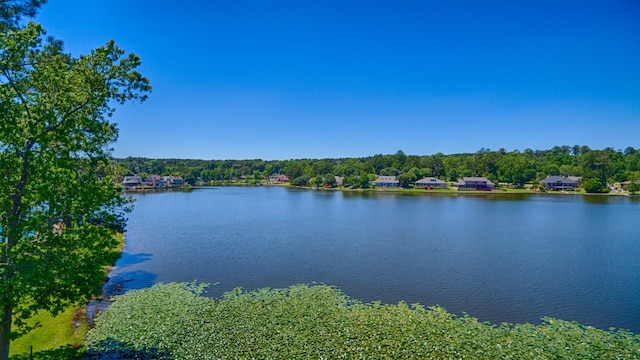 10 Snead Ln, Huntsville, TX 77340 - photo 19