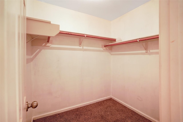 11202 Hall Meadows Ct, Houston, TX 77075 - photo 11