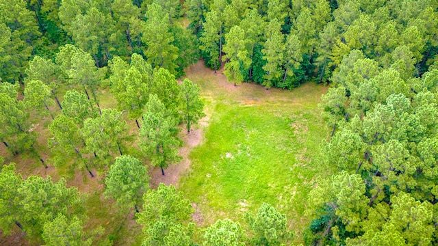 TBD Fm-229, Crockett, TX 75835 - photo 4