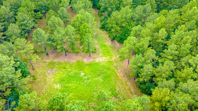 TBD Fm-229, Crockett, TX 75835 - photo 5